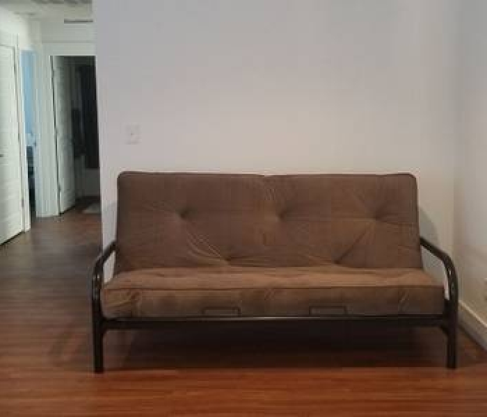 Living Room Futon