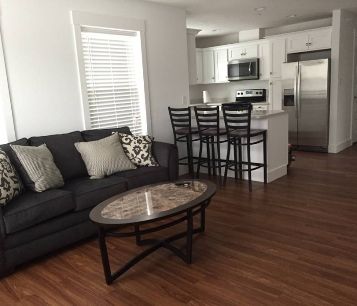 Living room and kitchen