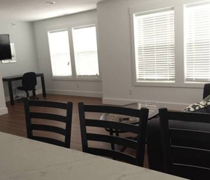 Living room and study desk